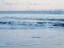Picture of SHORE FEELINGS 1