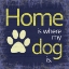 Picture of DOGS HOME