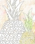 Picture of PINNEAPPLE 2