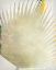 Picture of TROPICAL PALMS 3