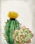 Picture of IN THE DESERT 2