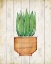 Picture of DESERT LIFE 2