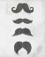 Picture of MUSTACHE 2