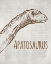 Picture of DINOSAUR 2