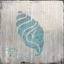 Picture of SEASHELL 1