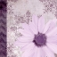 Picture of PURPLE BLOOM 1