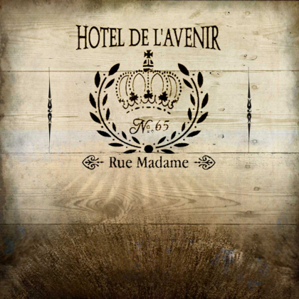 Picture of HOTEL DE LAVENIR