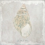 Picture of STONE SHELL 4