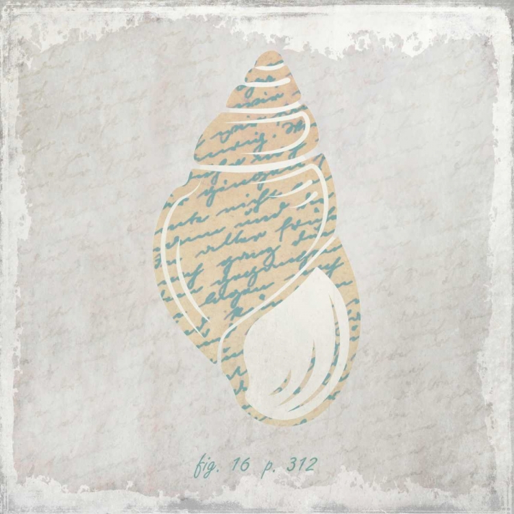 Picture of STONE SHELL 4
