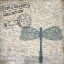 Picture of TRAVEL BUG COLLECTION A