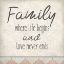 Picture of FAMILY BEGINS 1