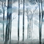 Picture of SHROUDED FOREST