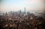 Picture of CONCRET JUNGLE 1