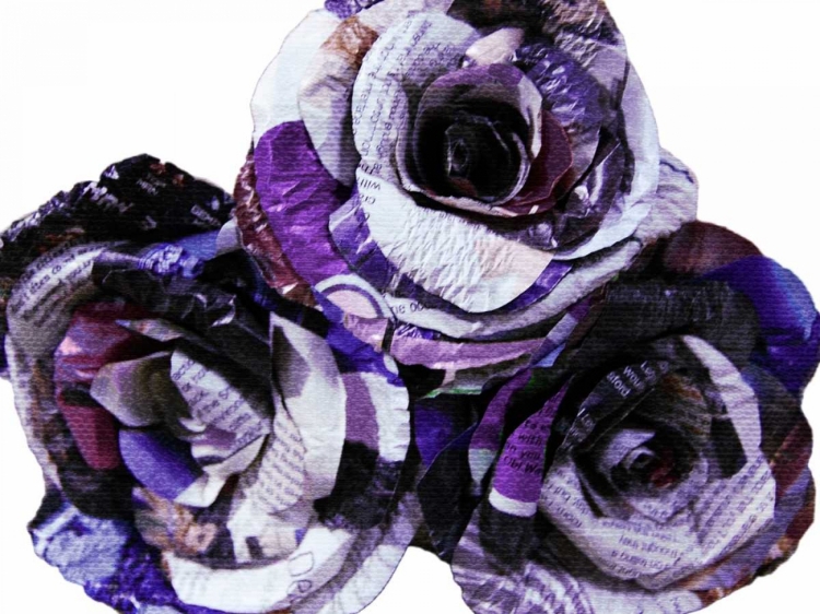 Picture of PAPER ROSES