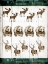 Picture of DBM LODGE