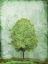 Picture of GREEN TREE
