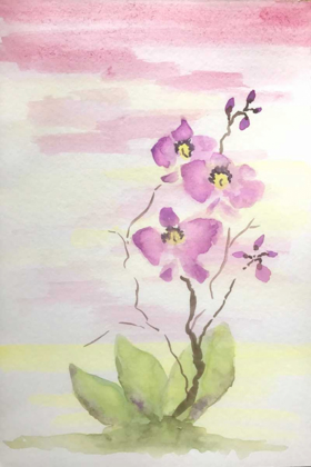 Picture of ORCHID TRIO 3