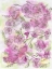 Picture of FLORAL PINKS