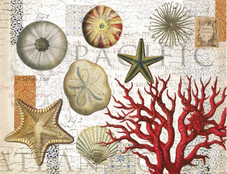 Picture of SEA TREASURES