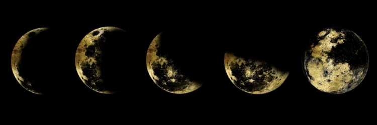 Picture of GOLDEN MOON ECLIPSE