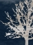Picture of CONTEMPORARY GARDEN INDIGO