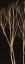 Picture of TREE SILHOUETTE II