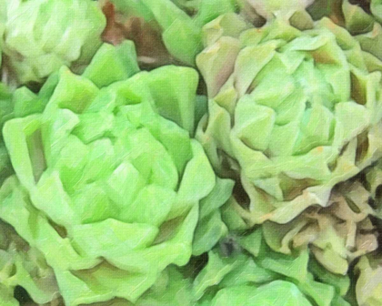 Picture of ABSTRACT SUCCULENT DETAIL