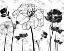 Picture of BLACK AND WHITE FLOWERS
