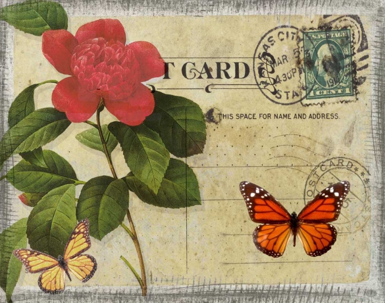 Picture of VINTAGE BUTTERFLY POSTCARD II