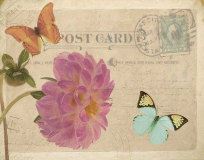 Picture of VINTAGE BUTTERFLY POSTCARD IV