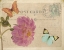 Picture of VINTAGE BUTTERFLY POSTCARD IV