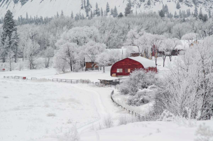 Picture of FARM IN THE SNOW