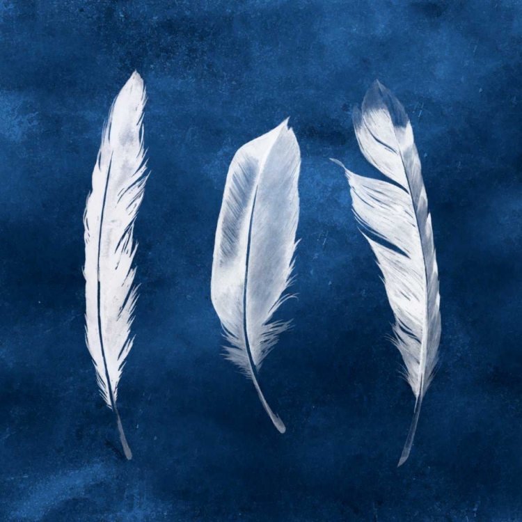 Picture of CYANOTYPE FEATHERS II