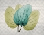 Picture of CITRUS ORCHID TREE