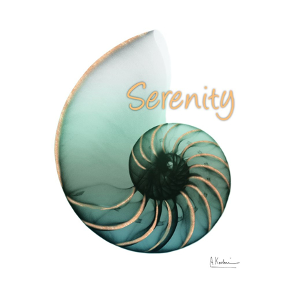 Picture of SHINNY SERENITY SNAIL 1