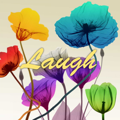 Picture of FLORAL CALM POP LAUGH