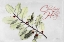 Picture of XMAS HOLLY L297