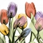 Picture of TULIPSCAPE 2