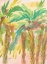 Picture of SUNSET PALMS 4