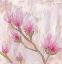 Picture of TULIP TREE 2