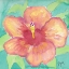 Picture of SUNSET HIBISCUS II
