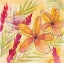Picture of SUNSET PLUMERIA II