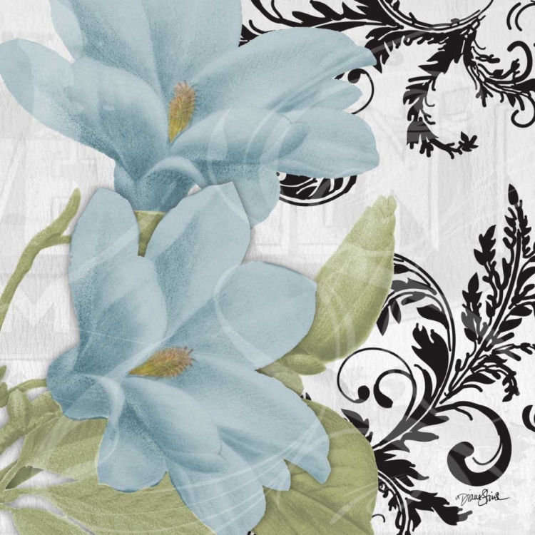 Picture of MAGNOLIA BLUE