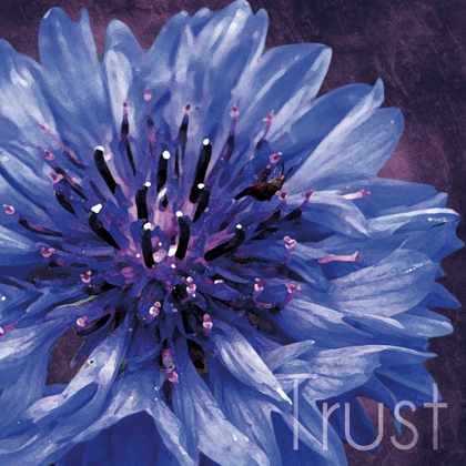 Picture of TRUST FLOWER