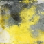 Picture of COSMIC YELLOW