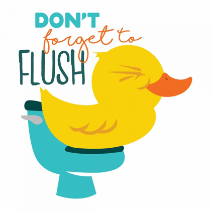 Picture of DONT FORGET FLUSH