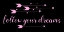 Picture of FOLLOW YOUR DREAMS BLACK PINK