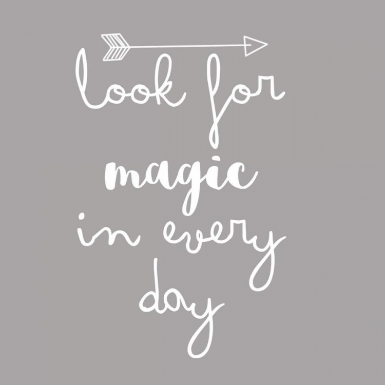 Picture of LOOK FOR MAGIC