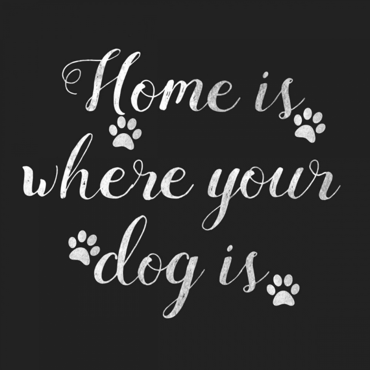 Picture of HOME IS WHERE DOG IS