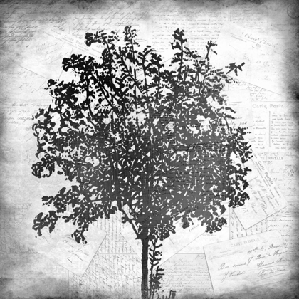 Picture of TREE SILHOUETTE BLACK AND WHITE 2